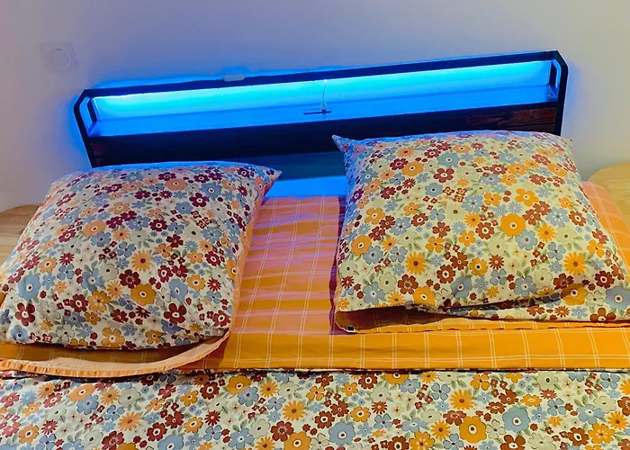 Maison A 5 Minutes De Toulouse * Fenouillet (Haute-Garonne)